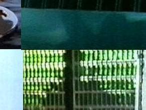 Domino Nude Scenes Aznude