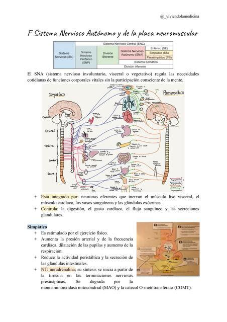 Farmacología del Sistema Nervioso Autónomo y de la placa neuromuscular