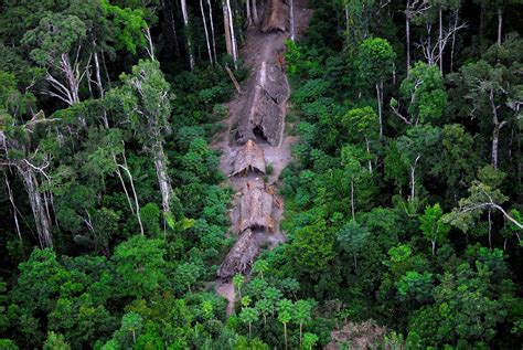 Rare photos of uncontacted Amazon tribes - July 23, 2024 | Reuters