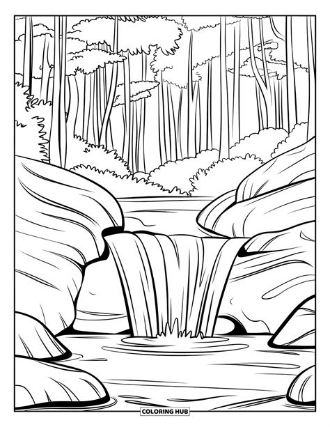 Concepto De Naturaleza 5