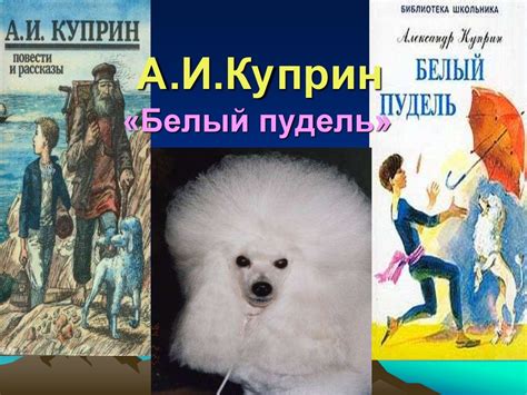 А.И. Куприн «Белый пудель» - презентация онлайн