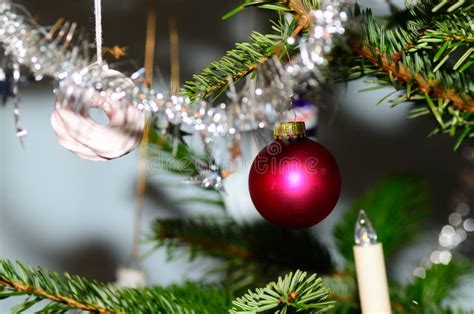 Red Ball On Christmas Tree Stock Photo Image Of Celebration 48871640