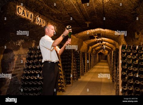 Codorniu Cava Cellars Sant Sadurni D Anoia Near Barcelona Spain