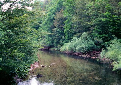 elevation  ogulin croatia topographic map altitude map