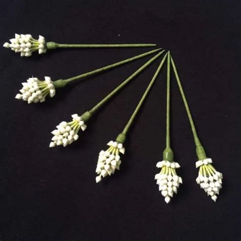 Hot Sale Lazada Co Th