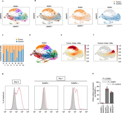 Single-cell RNA-seq identifies a subtype of tumor-supporting alveolar ...