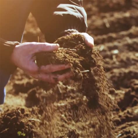 What is the Mission Soil? | Mission Soil Platform