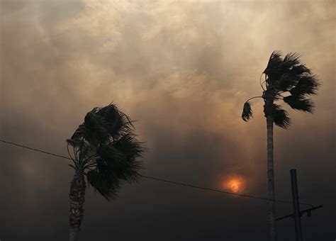 Burn Hollywood Burn