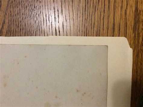 Babe Ruth Lou Gehrig Photo Bustin Babes Larrupin Lous B W Photo