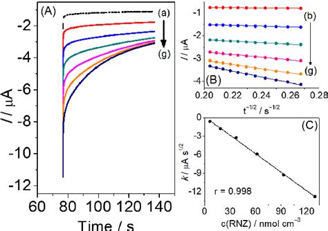 Figure 5 From Development Of An Electroanalytical Method For Ronidazole