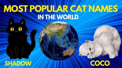 Most Famous Cat Names In The World Most Popular Cat Names Cat Names