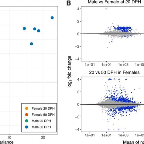 Sex Specific Developmental Changes In Ra Transcriptome A Pca Plot Of