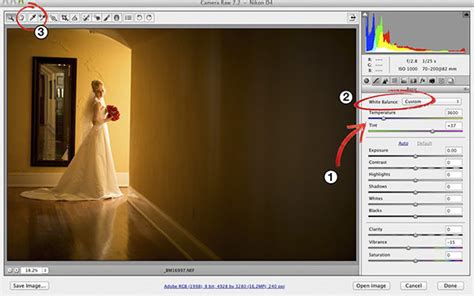 Setting Your White Balance In Adobe Photoshop Camera Raw Layers Magazine