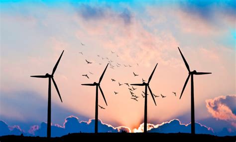 Pontos Negativos Da Energia Eólica - Impactos negativos da energia eólica: quais são - Brasil Escola