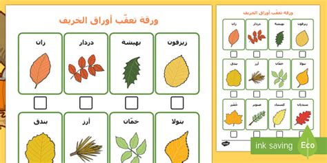 ورقة تعقّب أوراق الخريف للأطفال موارد تعليمية عربية