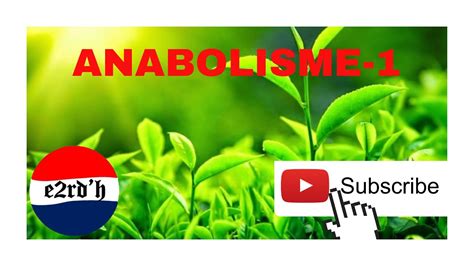 Anabolisme Youtube