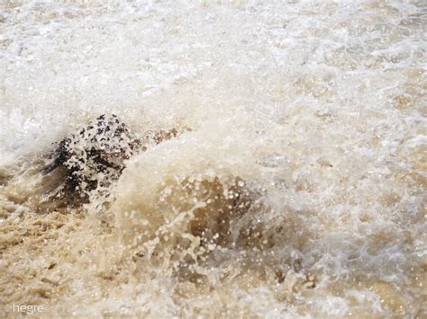 Hiromi Nude Beach Hiromi Nude Beach Px Porn Pic