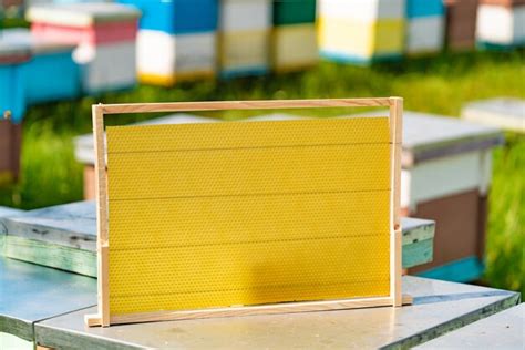 Un Nuevo Marco De Madera Para Abejas Se Encuentra En Una Colmena En El