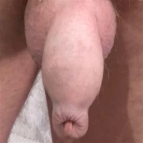 Uncut Lounger Showing Uncut Cock Gay Beach Porn XHamster