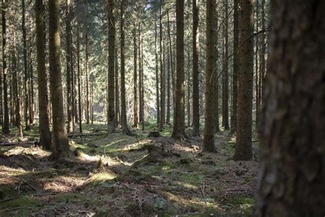 25 besten Harz Sehenswürdigkeiten Hotels für deinen Urlaub