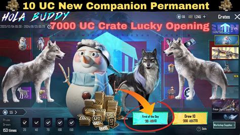 Luckiest Hola Buddy Spin Crate Opening Arctic Wolf Crate Opening