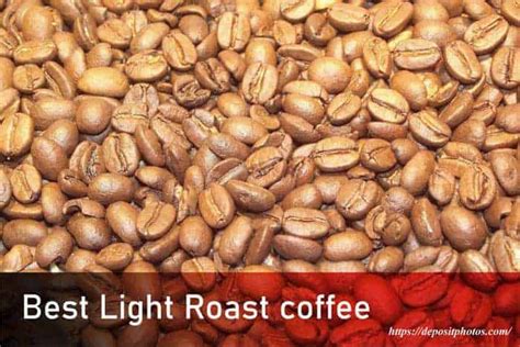 Top Best Light Roast Coffee Reviews | The Ultimate Guide