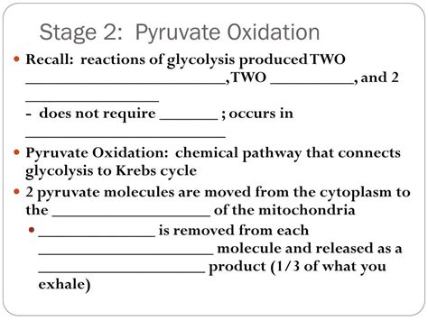 Ppt Cellular Respiration Powerpoint Presentation Free Download Id