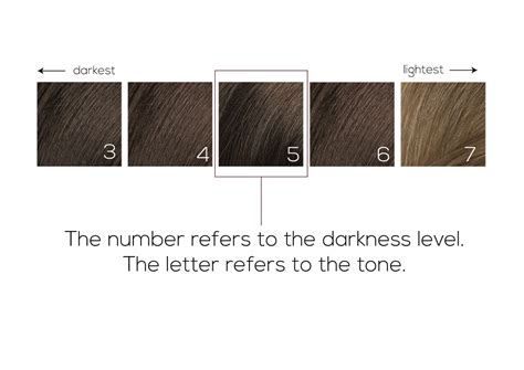 Color Chart – Naturtint USA