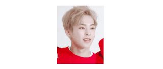 Xiumin Wiki Daebak Idols Amino