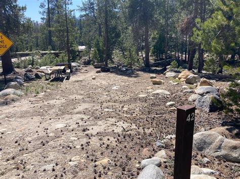 Site 42 Yosemite Creek Campground