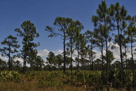 atlantic ridge preserve state park