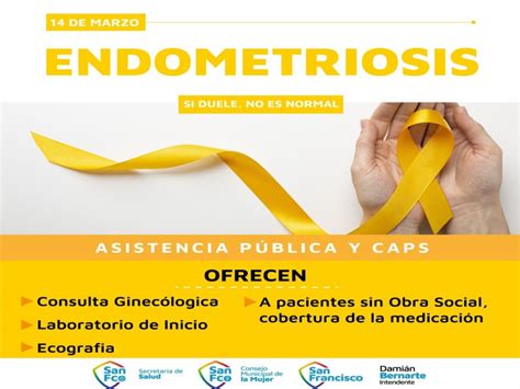 D A Mundial De La Endometriosis Si Duele No Es Normal