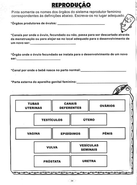 Atividades Sistema Reprodutor Masculino E Feminino 5o Ano Com Gabarito