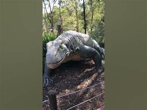 Komodo Dragon Statue - Australian Reptile Park #shorts - YouTube