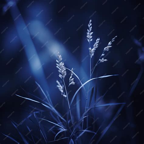 Premium Photo A Close Up Of Some Grass In The Dark