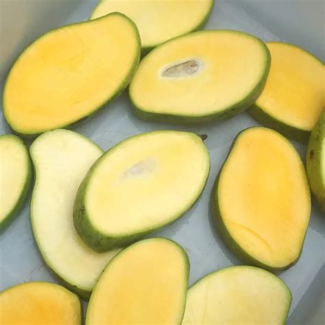 Commercial Mango Removing Core Machine Mango Chopping Pitting Cutting
