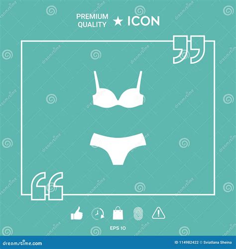 Sistema De La Ropa Interior O Del Traje De Baño Bikini De Dos Piezas