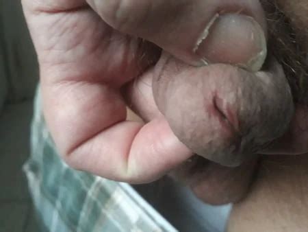 Filmes pornôs Gay de Porno Brasileiro 720p HD Vídeos de sexo de Porno Brasileiro xHamster