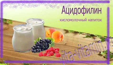 Ацидофилин: польза и вред для организма человека, что это за продукт