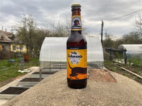 Это пиво сделано специально для собак: рассказываю, из чего оно сделано ...