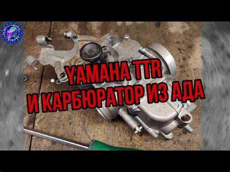 Yamaha Ttr 250 Ремкомплект Карбюратора