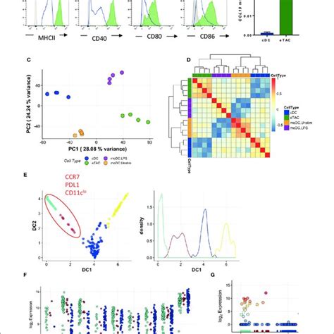 AIRE Is Upregulated In Mature Dendritic Cells A Flow Cytometric