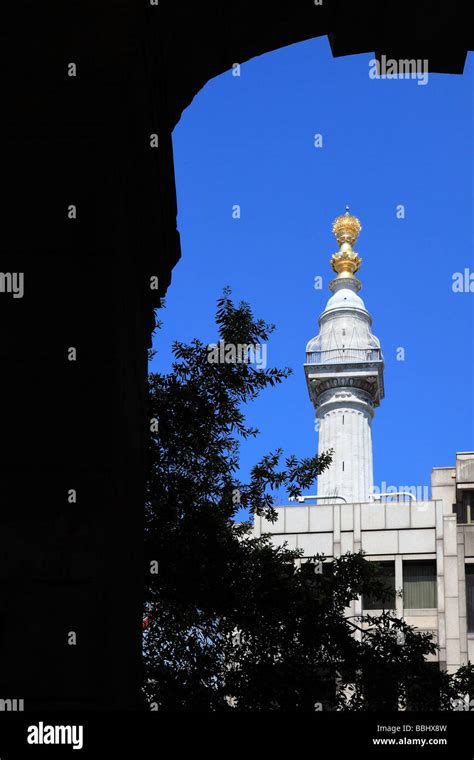 The Monument City Of London England Stock Photo Alamy