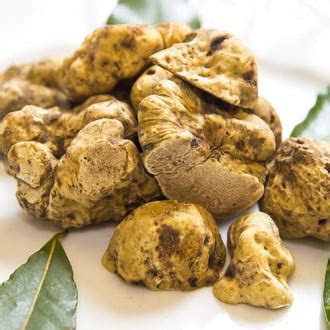 Купить грибной мицелий с доставкой почтой в Минске, Беларуси | интернет ...