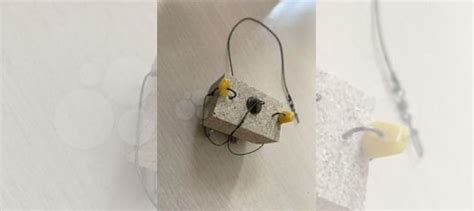 Макушатник для рыбалки купить в Апшеронске с доставкой | Хобби и отдых ...