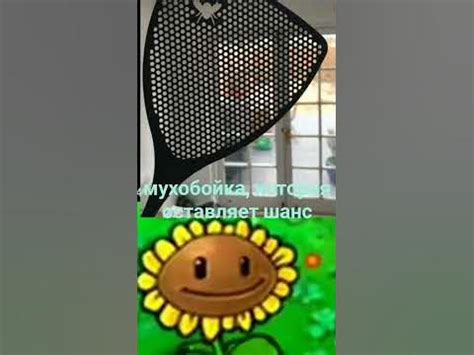 мухобойка, которая оставляет шанс - YouTube