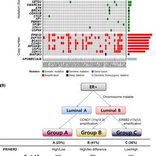 Genomic profiling and integrative summary of molecular characteristics ...