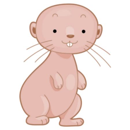 Naked Mole Rat Sticker