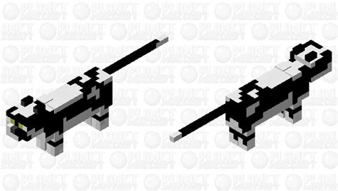 Black And White Cat Green Eyes Minecraft Mob Skin