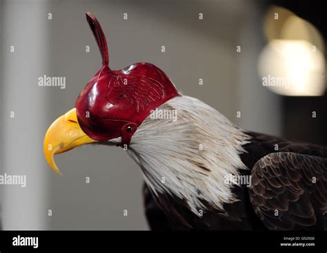 Vitoria the benfica mascot hi-res stock photography and images - Alamy